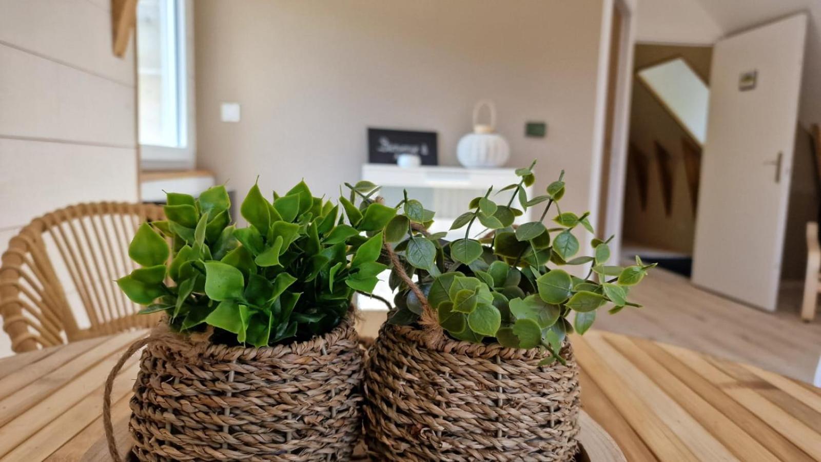 La Puy Mary Bed & Breakfast Le Falgoux Екстериор снимка